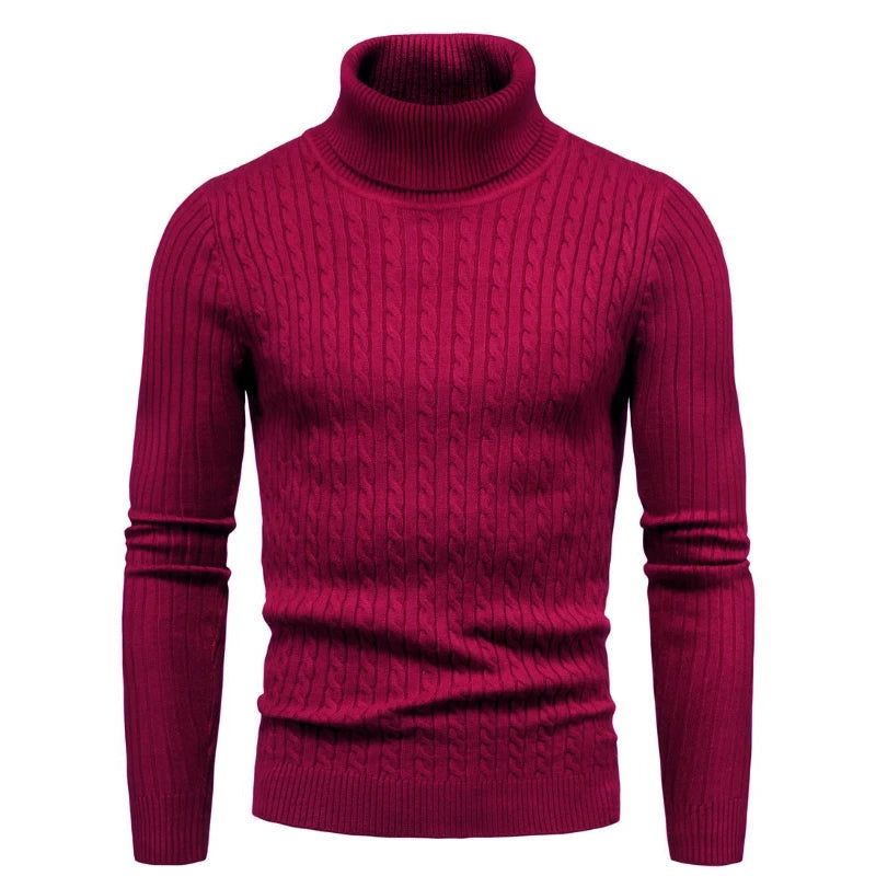 Dominic Casual Solid Soft Knitted Long Sleeve Turtleneck Sweater