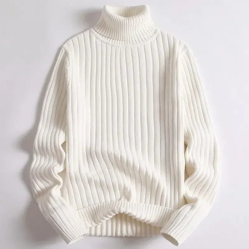 Delta Ribbed Knit Turtleneck Sweater