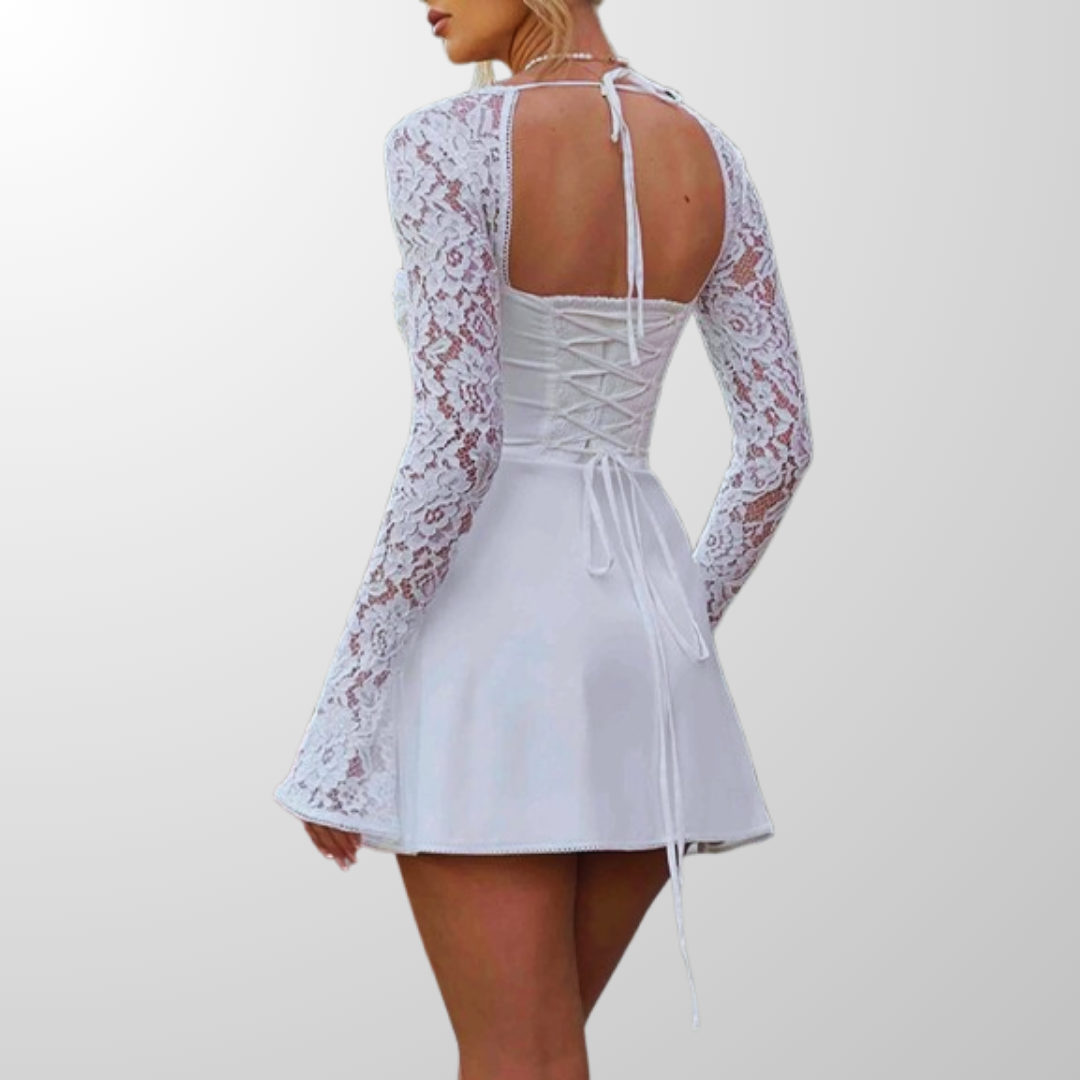 Sultry Vibes Sheer Lace Corset Skater Dress