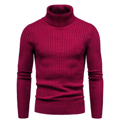 Dominic Casual Solid Soft Knitted Long Sleeve Turtleneck Sweater