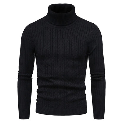 Dominic Casual Solid Soft Knitted Long Sleeve Turtleneck Sweater