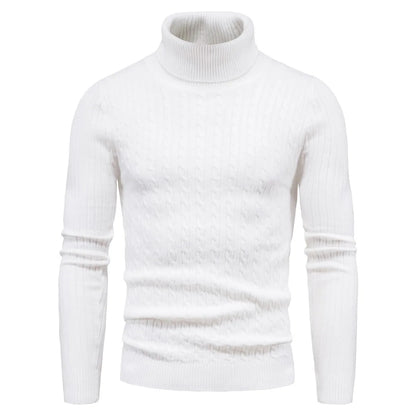 Dominic Casual Solid Soft Knitted Long Sleeve Turtleneck Sweater