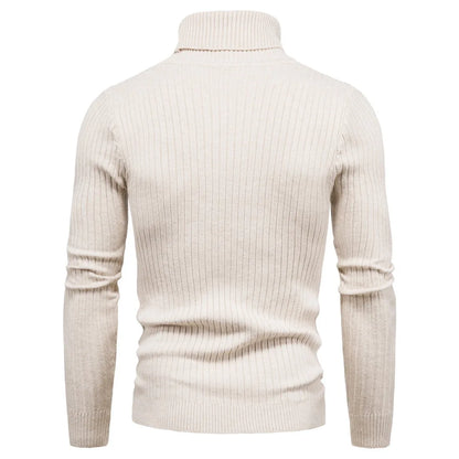 Dominic Casual Solid Soft Knitted Long Sleeve Turtleneck Sweater